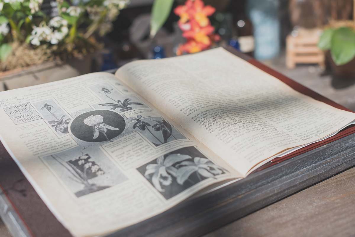new york opened flower book on table book